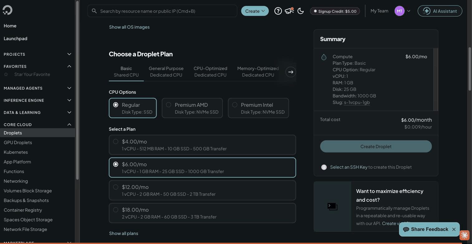 The $6 Basic plan: 1 vCPU, 1 GB RAM, 25 GB SSD